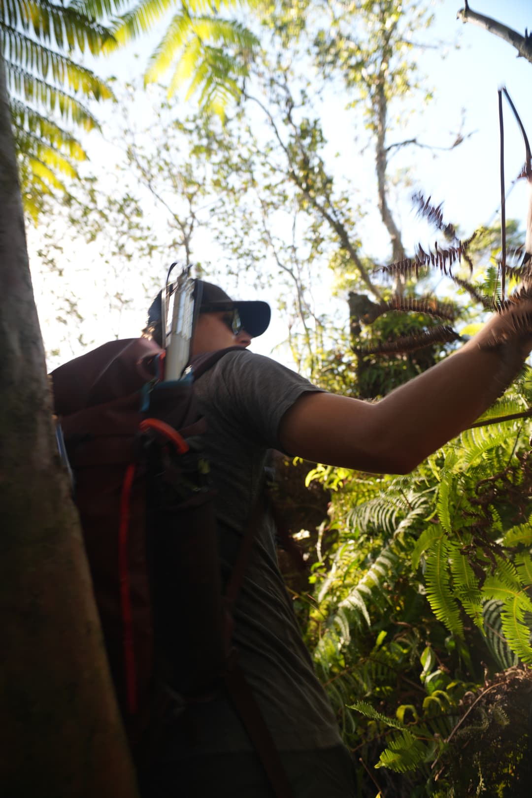 Antenna strapped to backpack during jungle hike